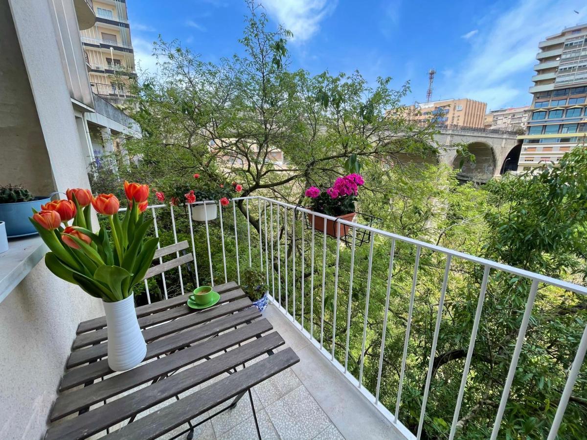 مبيت وإفطار راغوزا Finestra Sui Ponti المظهر الخارجي الصورة